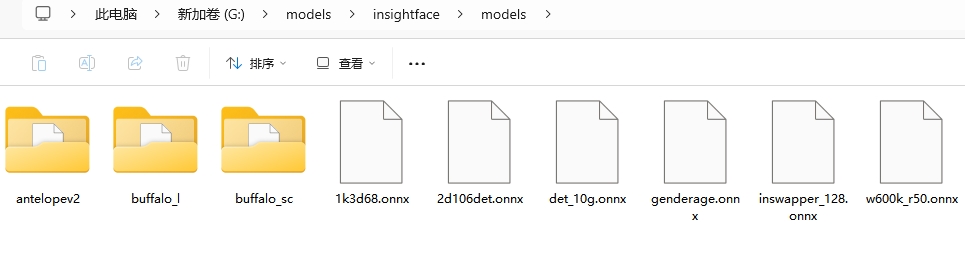 insightface.png